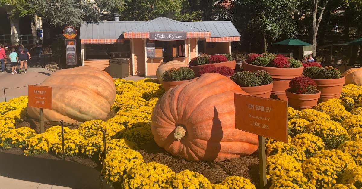 the Deep South USA Large Pumpkin at Dollywoood